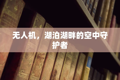 无人机，湖泊湖畔的空中守护者