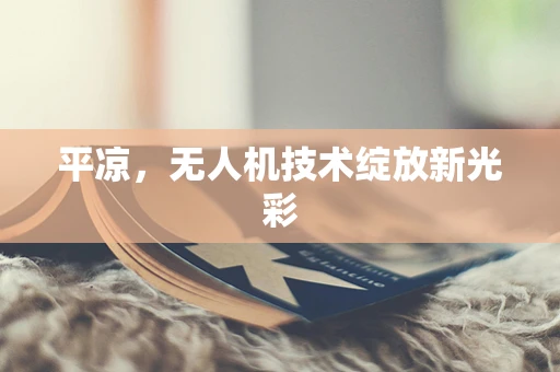 平凉，无人机技术绽放新光彩