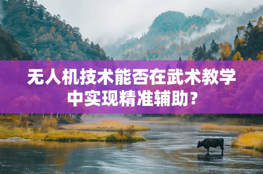 无人机技术能否在武术教学中实现精准辅助？