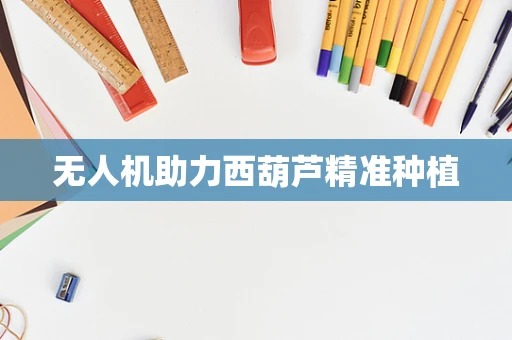 无人机助力西葫芦精准种植