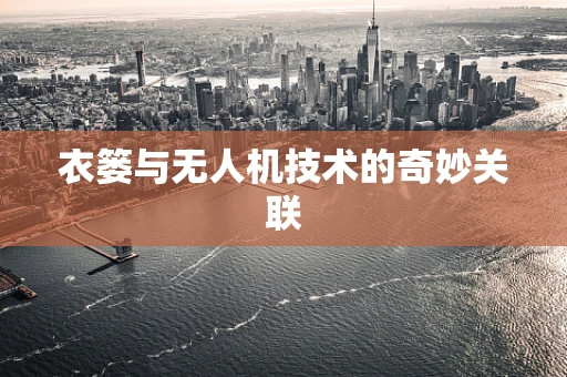 衣篓与无人机技术的奇妙关联