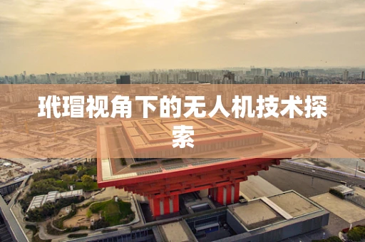玳瑁视角下的无人机技术探索