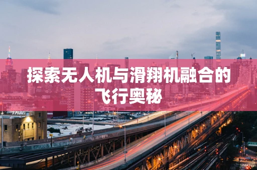 探索无人机与滑翔机融合的飞行奥秘
