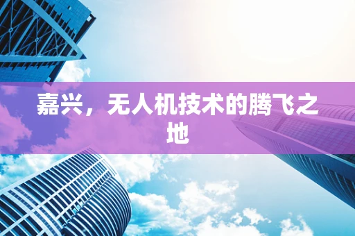 嘉兴，无人机技术的腾飞之地