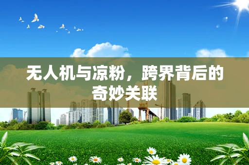 无人机与凉粉，跨界背后的奇妙关联