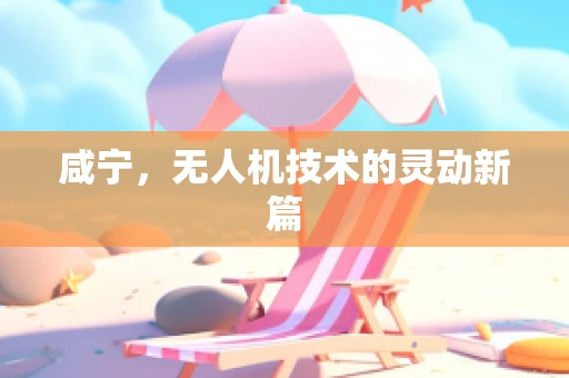咸宁，无人机技术的灵动新篇