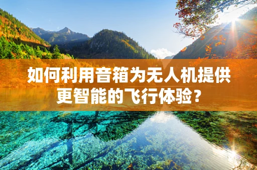 如何利用音箱为无人机提供更智能的飞行体验？