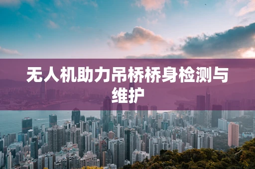 无人机助力吊桥桥身检测与维护