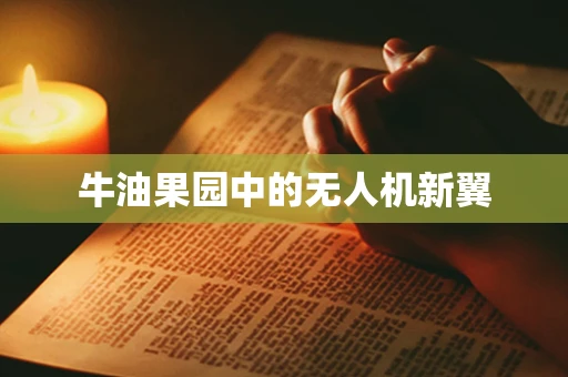 牛油果园中的无人机新翼