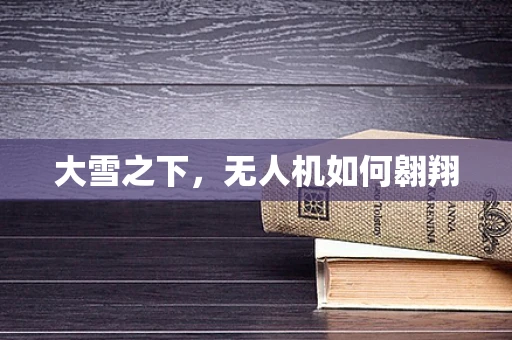 大雪之下，无人机如何翱翔