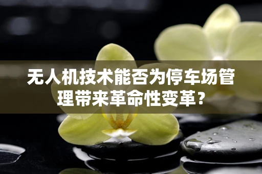 无人机技术能否为停车场管理带来革命性变革？