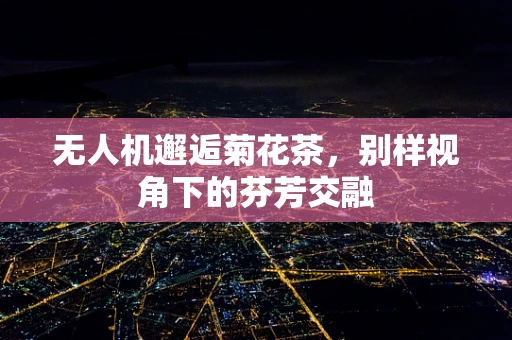 无人机邂逅菊花茶，别样视角下的芬芳交融