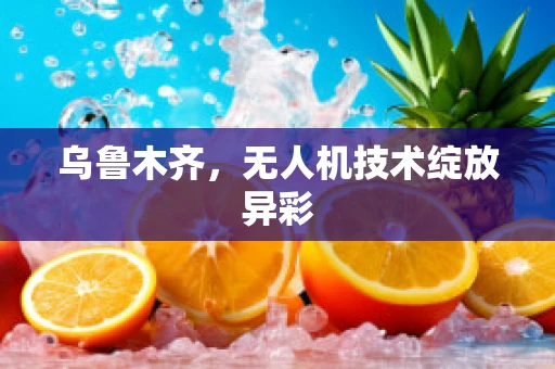 乌鲁木齐，无人机技术绽放异彩