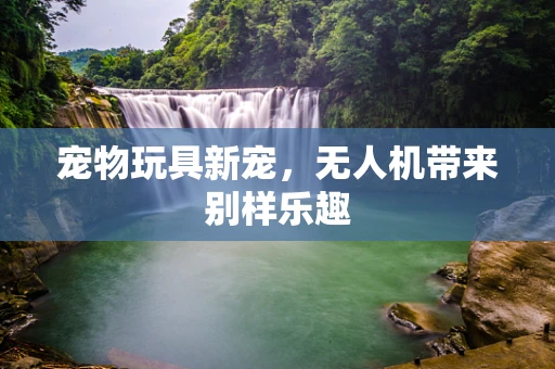 宠物玩具新宠，无人机带来别样乐趣