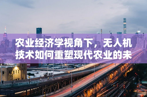 农业经济学视角下，无人机技术如何重塑现代农业的未来？