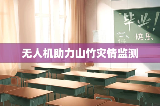 无人机助力山竹灾情监测