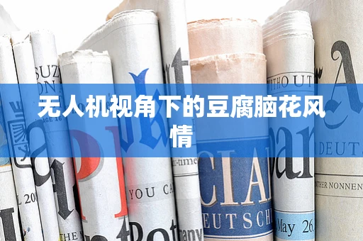 无人机视角下的豆腐脑花风情