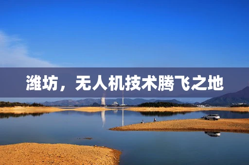 潍坊，无人机技术腾飞之地