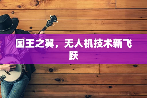 国王之翼，无人机技术新飞跃