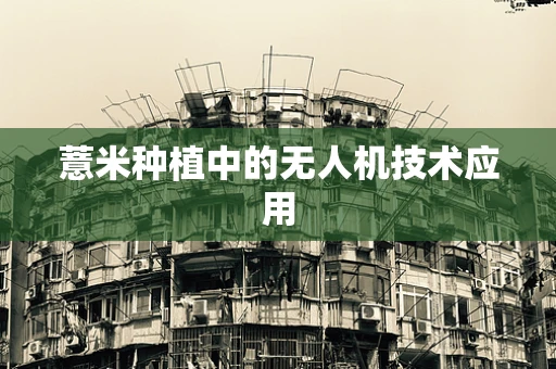 薏米种植中的无人机技术应用
