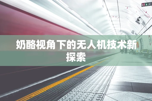 奶酪视角下的无人机技术新探索