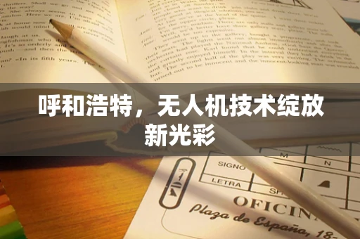 呼和浩特，无人机技术绽放新光彩