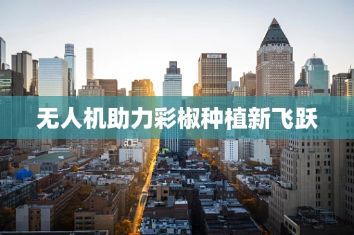 无人机助力彩椒种植新飞跃