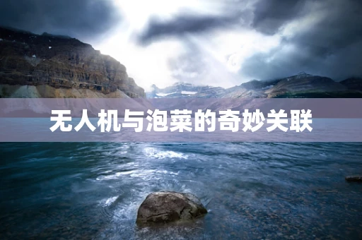 无人机与泡菜的奇妙关联