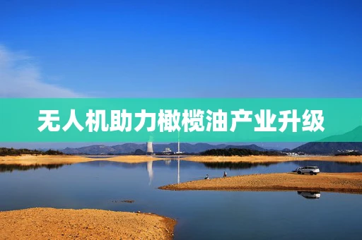 无人机助力橄榄油产业升级
