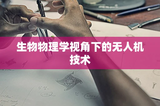 生物物理学视角下的无人机技术
