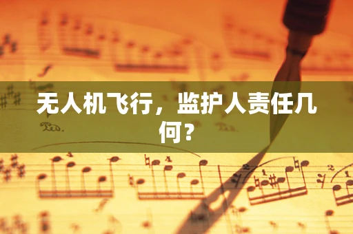无人机飞行，监护人责任几何？