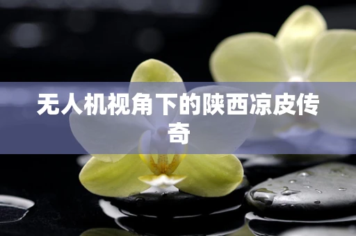 无人机视角下的陕西凉皮传奇