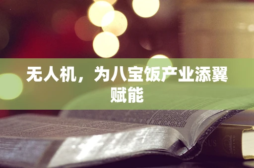 无人机，为八宝饭产业添翼赋能