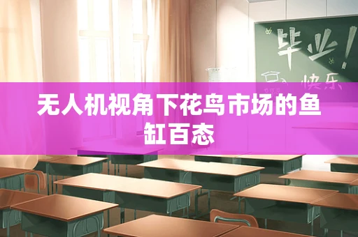 无人机视角下花鸟市场的鱼缸百态