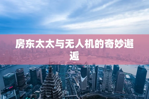 房东太太与无人机的奇妙邂逅