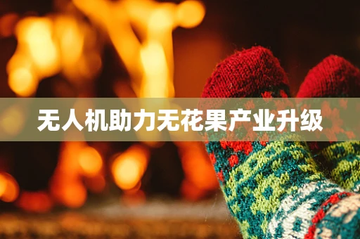 无人机助力无花果产业升级
