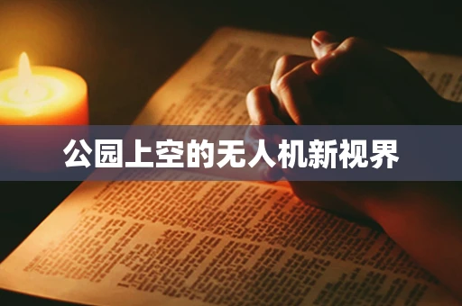 公园上空的无人机新视界