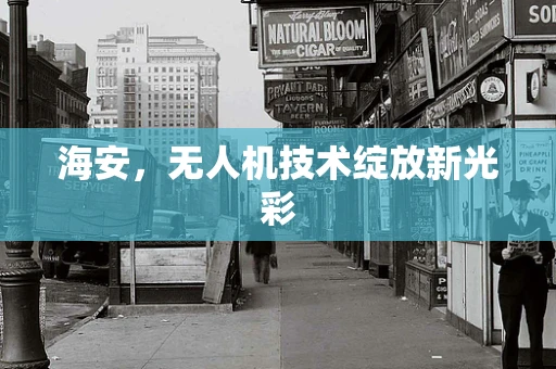海安，无人机技术绽放新光彩