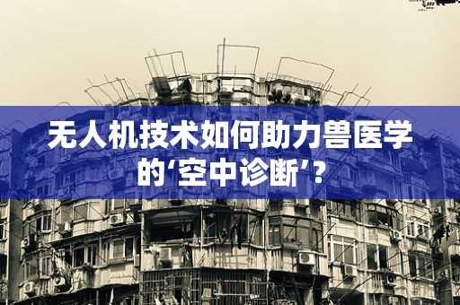 无人机技术如何助力兽医学的‘空中诊断’？