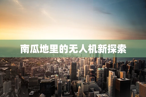 南瓜地里的无人机新探索