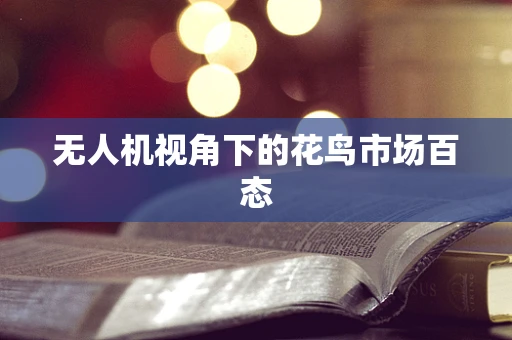 无人机视角下的花鸟市场百态