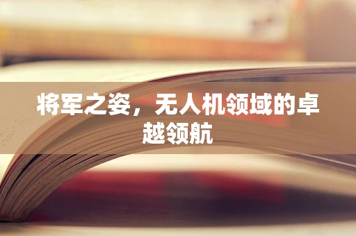 将军之姿，无人机领域的卓越领航