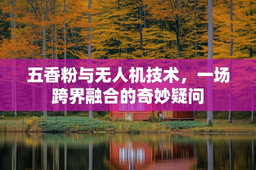 五香粉与无人机技术，一场跨界融合的奇妙疑问