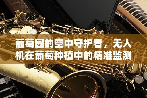 葡萄园的空中守护者，无人机在葡萄种植中的精准监测挑战