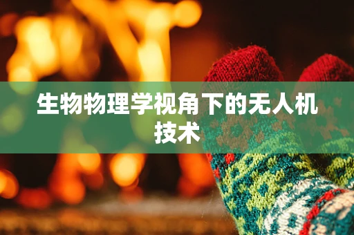 生物物理学视角下的无人机技术