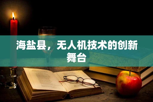 海盐县，无人机技术的创新舞台