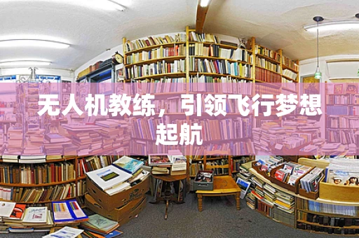 无人机教练，引领飞行梦想起航