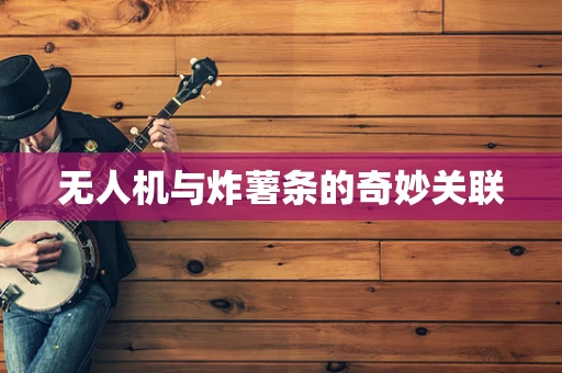 无人机与炸薯条的奇妙关联