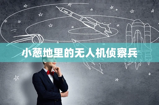 小葱地里的无人机侦察兵