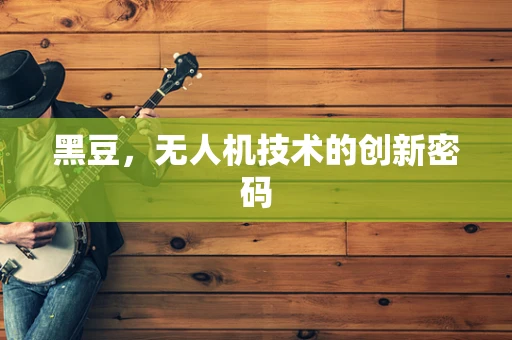 黑豆，无人机技术的创新密码
